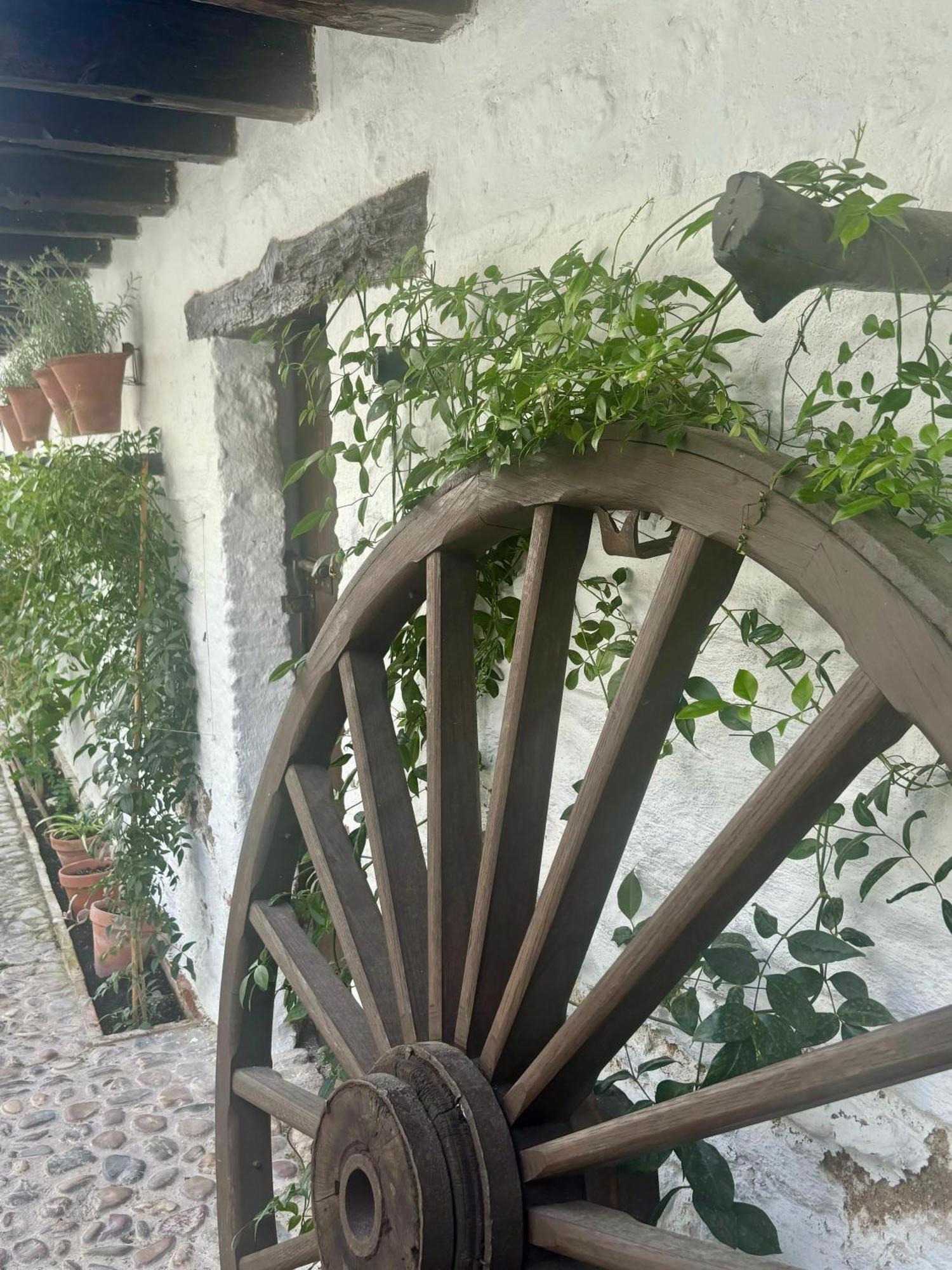La Buganvilla De Santiago Córdoba Exteriör bild
