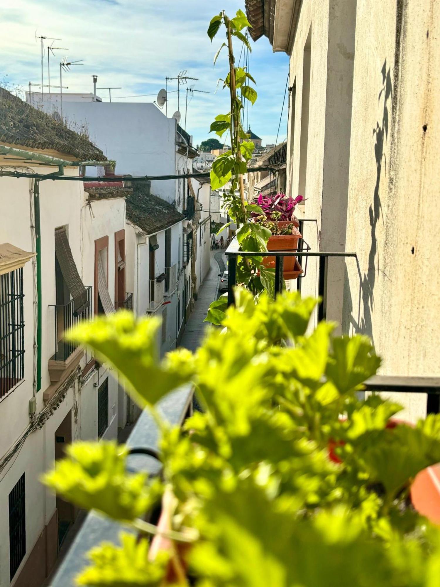 La Buganvilla De Santiago Córdoba Exteriör bild